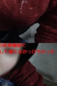 FC2-PPV-1564951